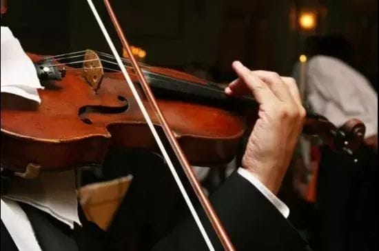 1737168246512771.jpg 2.jpg