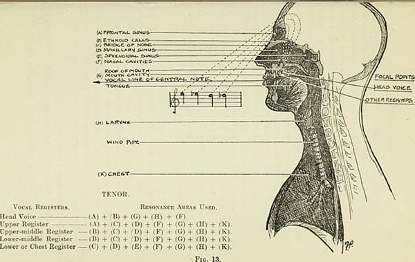 1737724369753096.jpg voice-1.jpg