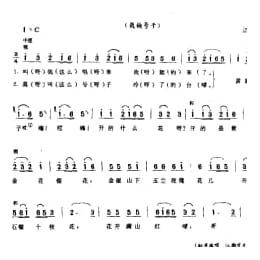 黄黄子 栽秧号子 江都市