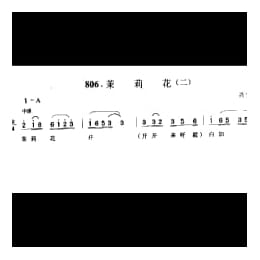 茉莉花 二 兴化市