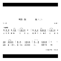 探妹 二 如皋市