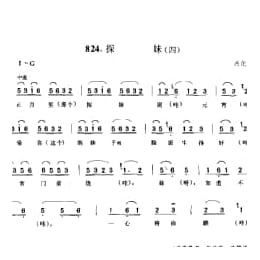 探妹 四 兴化市