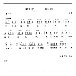 探妹 五 如皋市