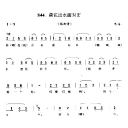 荷花出水面对面 杨柳青 东海县