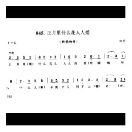 正月里什么花人人爱 新杨柳青 如东县