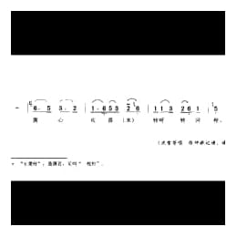 杨柳青青 一 玉美针 苏州市