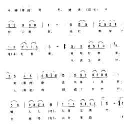 杨柳青青 二 玉美针 常熟市