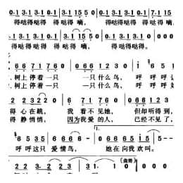 中国名歌乐谱:爱情鸟 张海宁词 张全复曲