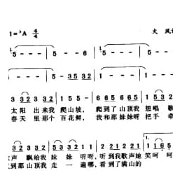 中国名歌500首乐谱:大花轿 火风词曲