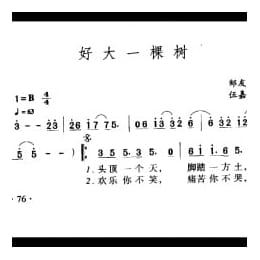 中国名歌500首乐谱:好大一棵树 邹友开词 伍嘉翼曲