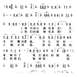 林中的小路金星 晓光词 付越 罗京京曲