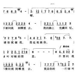 绿叶对根的情意 主健词 谷建芬曲