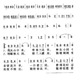 兰花草 佚名词曲