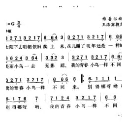 青春舞曲 维吾尔族民歌 王洛宾搜集整理