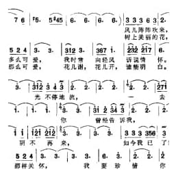 邓丽君歌曲谱:空港