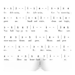 美国经典歌曲谱:雪绒花 简谱