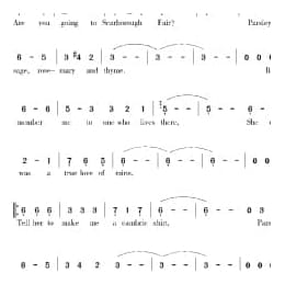 美国经典歌曲谱:斯卡堡罗集市 简谱
