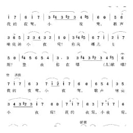 俄罗斯经典歌曲谱:夜莺 简谱