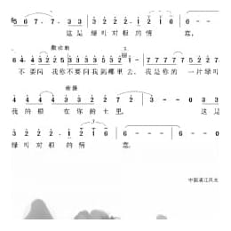 中国经典歌曲谱:绿叶对根的情意 简谱