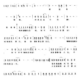 真心真意过一生 陈大力词 陈大力等曲