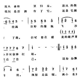 纷纷飘坠的音符 周兴立词曲