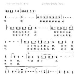 夜来香 金玉谷词曲