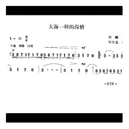 大海一样的深情 刘麟词 刘文金曲