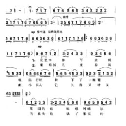 吐鲁番的葡萄熟了 瞿踪词 施光南曲