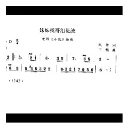 妹妹找哥泪花流 电影 小花 插曲 凯传词 王酩曲