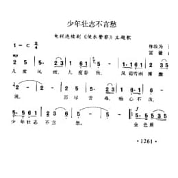 少年壮志不言愁 电视连续剧 便衣警察 主题歌 林汝为词 雷蕾曲