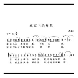 草原上的鲜花 西藏民歌