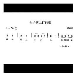 柑子树上打白花 湖南民歌