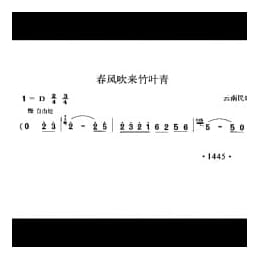 春风吹来竹叶青 云南民歌