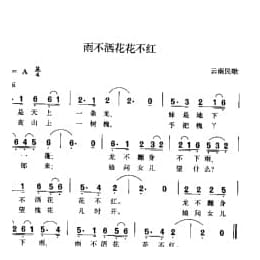 雨不酒花花不红 云南民歌