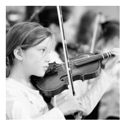 学琴，业余可以，随便不可以