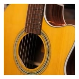 玩吉他，有必要买贵的吉他吗？