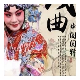 中国45种戏曲的基本知识，你了解多少？