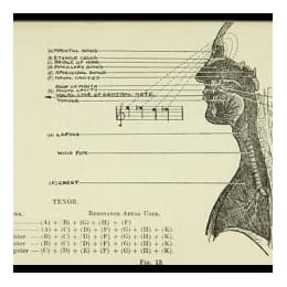 人声保养五则贴士，送给主唱的你