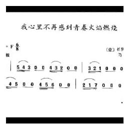 外国古典歌曲简谱:我心里不再感到青春火焰燃烧 意 柏伊西埃洛曲