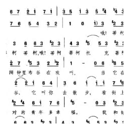 外国现代歌曲简谱:闹钟里的布谷鸟 拉美歌曲