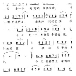 外国现代乐曲简谱:聿福的夜晚 巴西 玛利亚曲