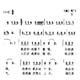 外国现代乐曲简谱:瓦斯台克小夜曲 墨 希门耐斯曲