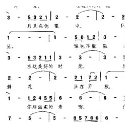 神奇的月光 英 帕斯宽洛曲