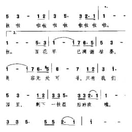 最后的玫瑰 德国影片 英俊少年 插曲
