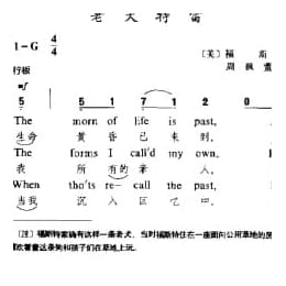 老犬特雷 美 福斯特曲