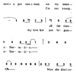 苏苏迪奥 英 考林斯