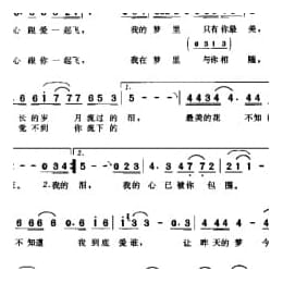 简谱:岁月的眼泪 2002李杰词曲 满文军演唱