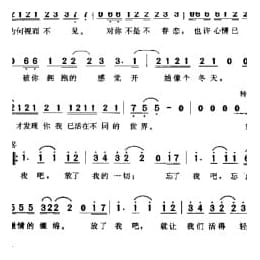 简谱:相见不如怀念 1999那英词 飞鸟凉曲 那英演唱