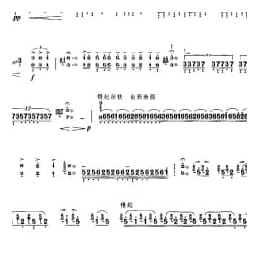 扬琴经典曲目简谱:凤凰于飞 桂习礼编曲