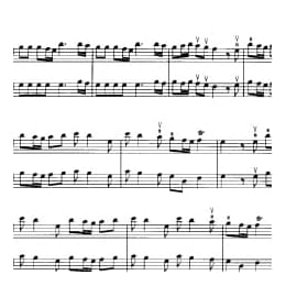 小提琴二重奏曲谱:春 维瓦尔蒂曲 张以一改编曲目 初级